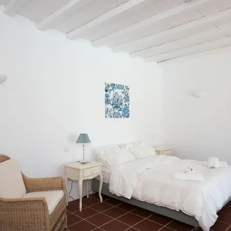 Villa Victoria With Sea View And Two Private Pools Ftelia (Mykonos)